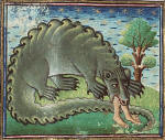 Crocodrillus
