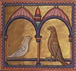 The Aberdeen Bestiary. The devotion of the widowed turtle dove
