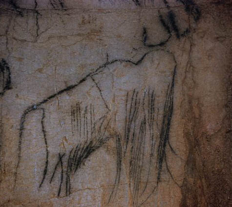 Rock Painting of a Mammoth at Pech Mercle Cave