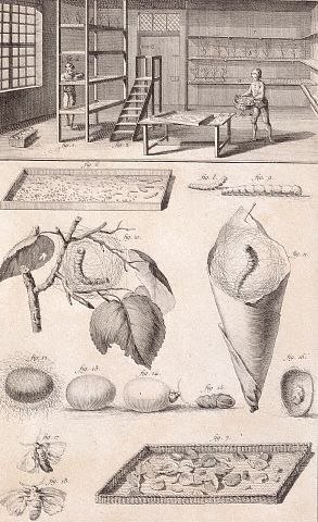 A page from The Dictionary of Sciences depicts a silkmaking operation