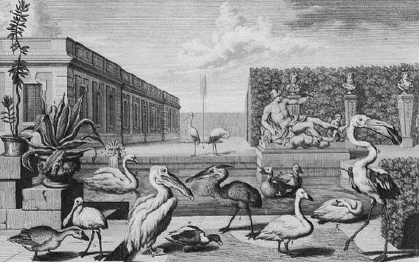 Animals at The Belvedere Palace Menagerie, Vienna ca. 1731-1740