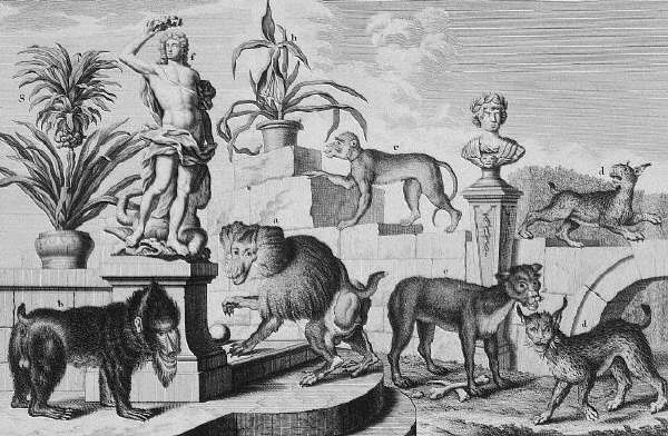 Animals of The Menagerie at Belvedere Palace, Vienna ca. 1731-1740