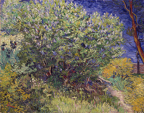 The Bush by Vincent van Gogh 1889